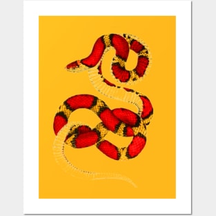 serpent,cobra,reptile,viper,venom,lizard,rattlesnake,king cobra Posters and Art